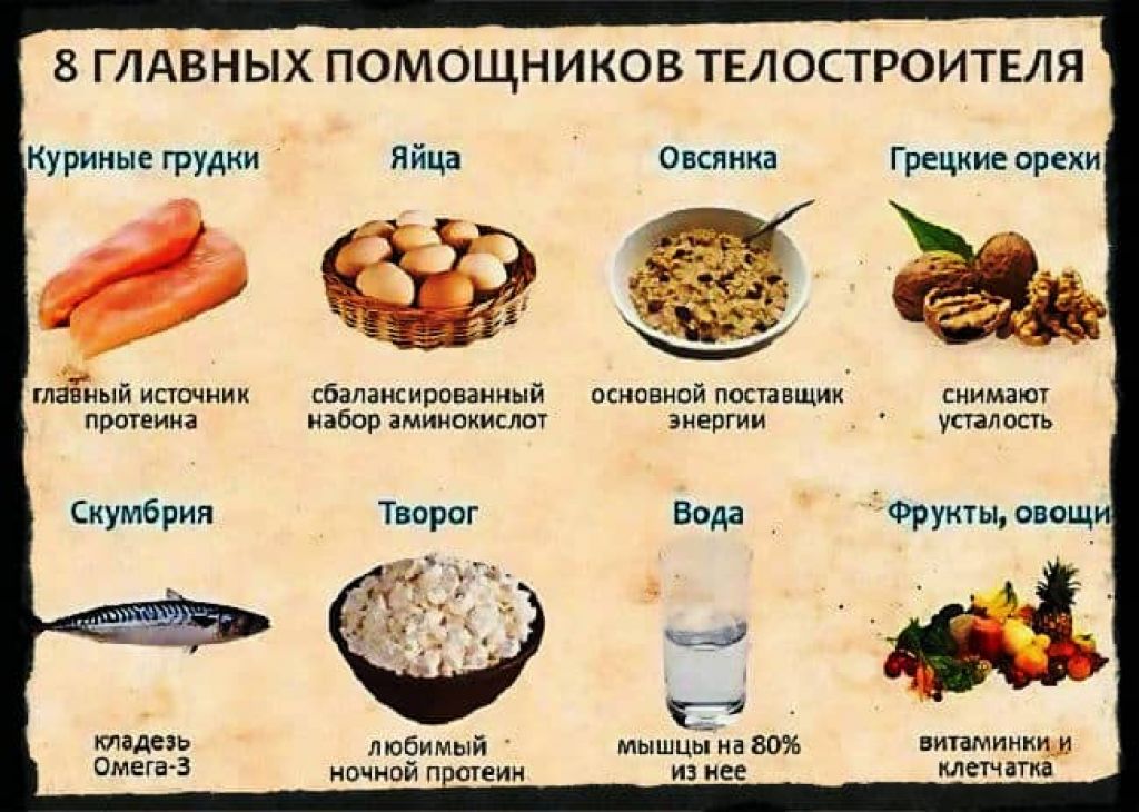 Как откормить кота до больших размеров если он худой