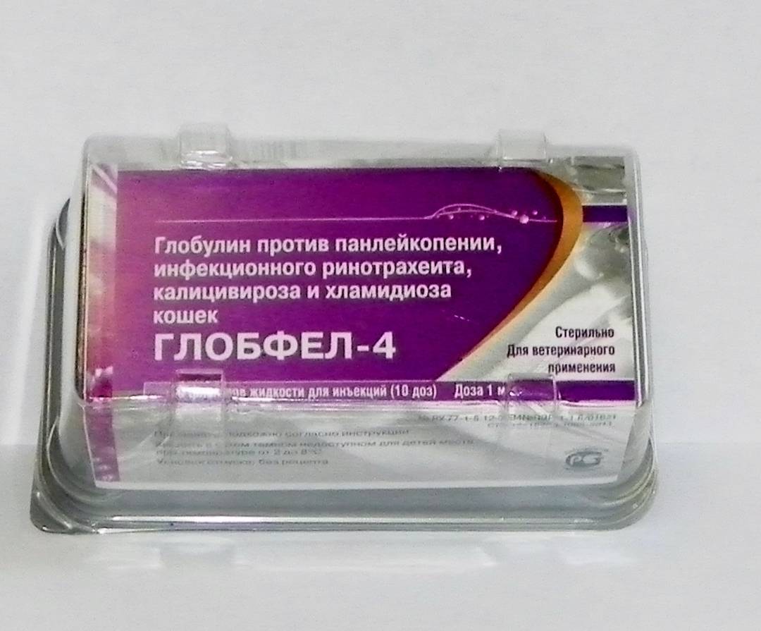 Поливак для кошек