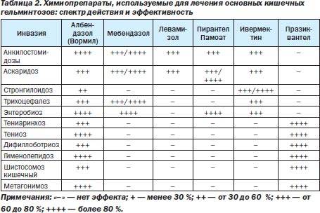 Лямблии у кошек