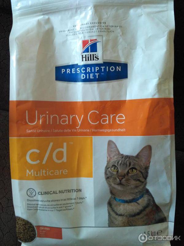 Чем кормить кота при мочекаменной болезни в домашних условиях
чем кормить кота при мочекаменной болезни в домашних условиях