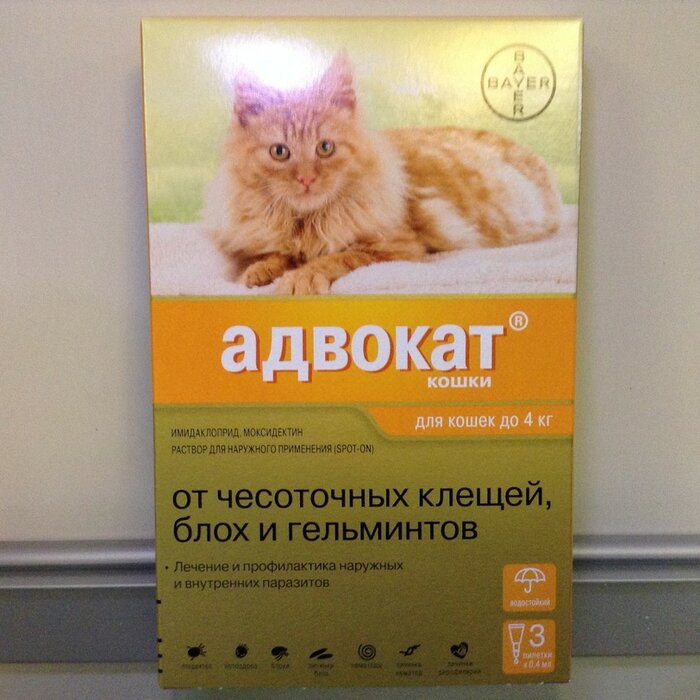 Капли адвокат для кошек