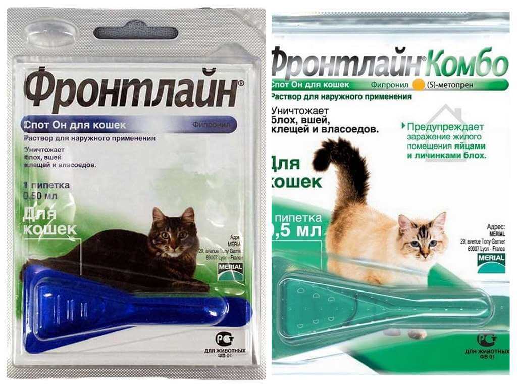 Фронтлайн для кошек и котов