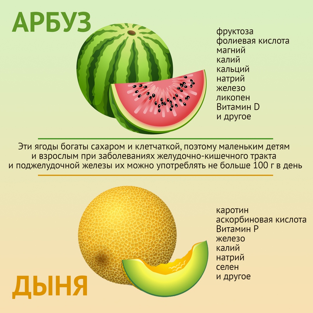Какие фрукты можно давать волнистым попугаям?