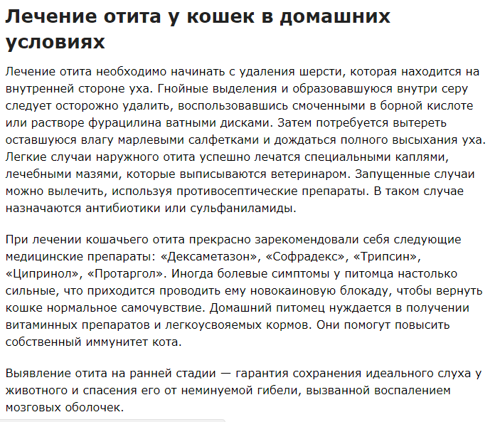 Отит – основная причина боли в ухе. симптомы, возможные осложнения и лечение отита.