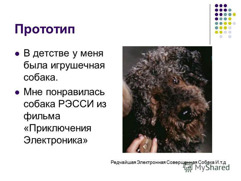 Собака из фильма "приключения электроника": порода, песня, текст