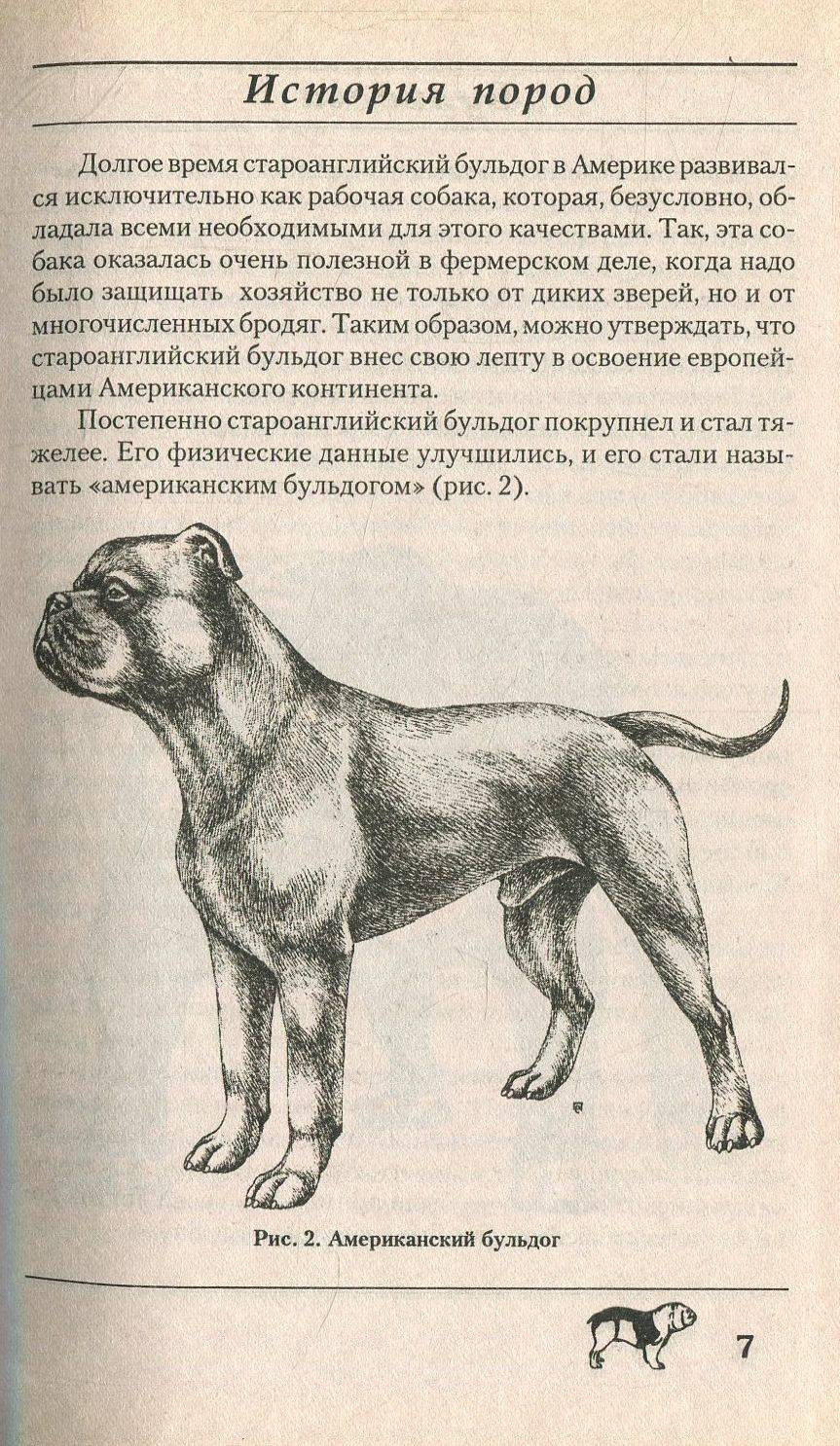 Фото вымерших пород собак