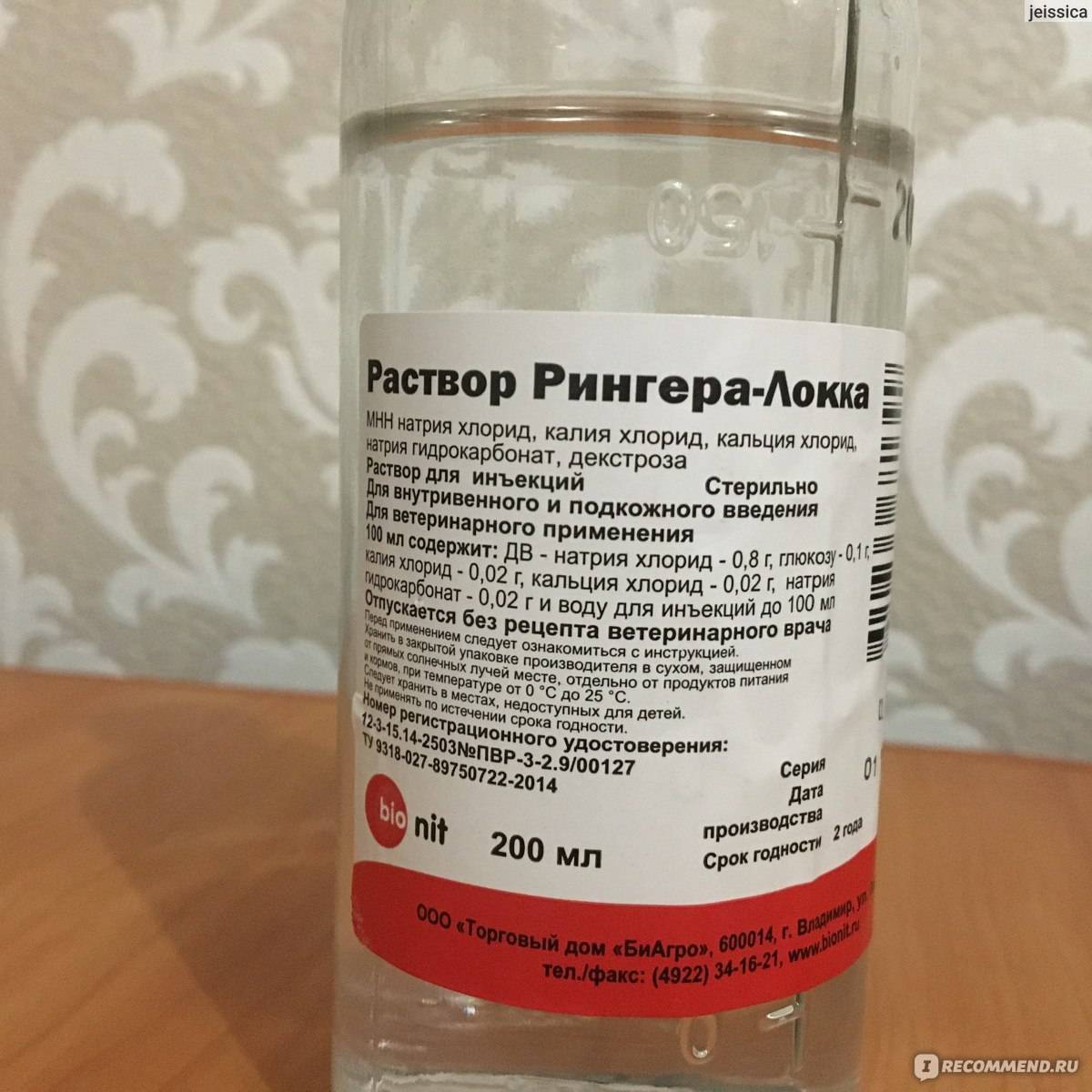Как вводить раствор Рингера кошке?