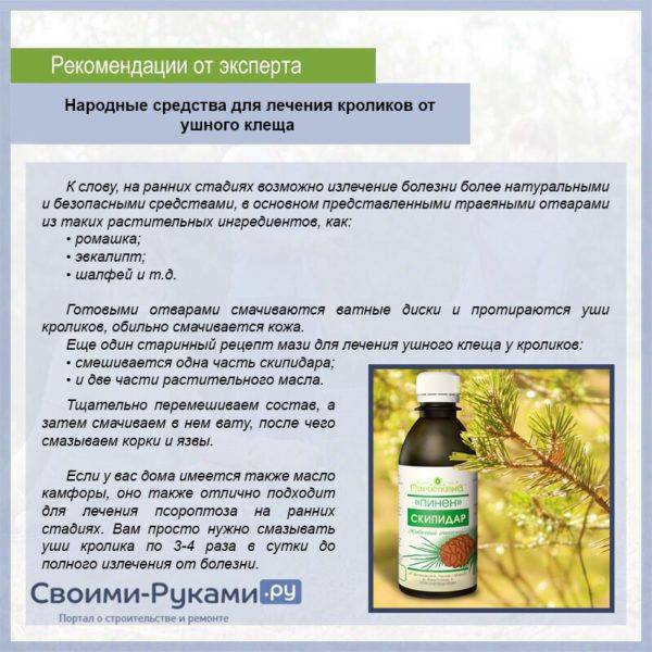 Чем опасен ушной клещ у кроликов и как с ним бороться в домашних условиях