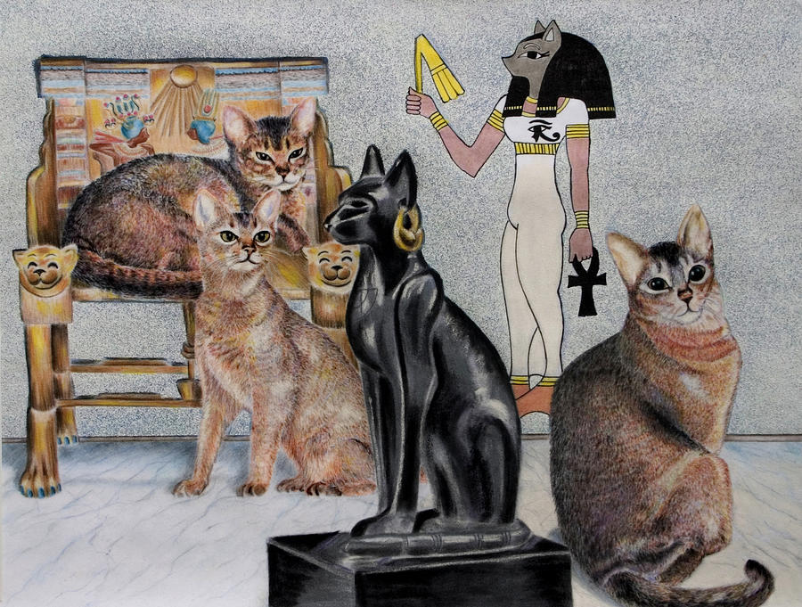 Кошки в древнем египте: их значение, особенности внешности и характера, воспитание и дрессировка