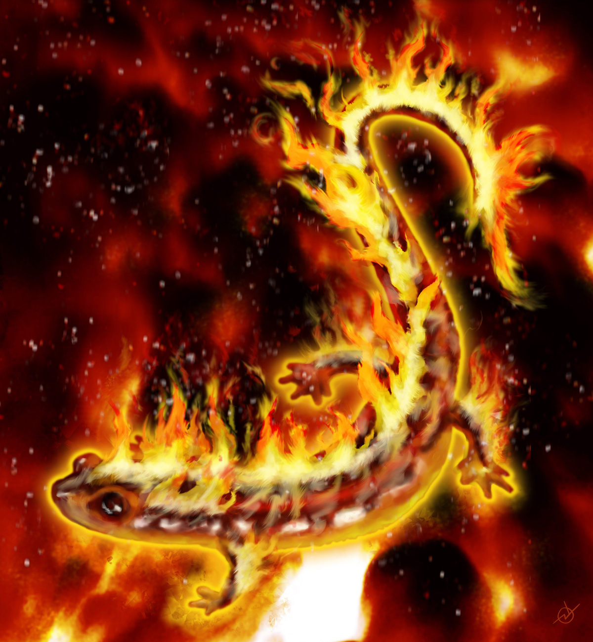 Огненная ящерица. Тотем Огненная саламандра. Огненная саламандра дух огня. Саламандра Огненная мифология. Саламандра — Огненная ящерица.