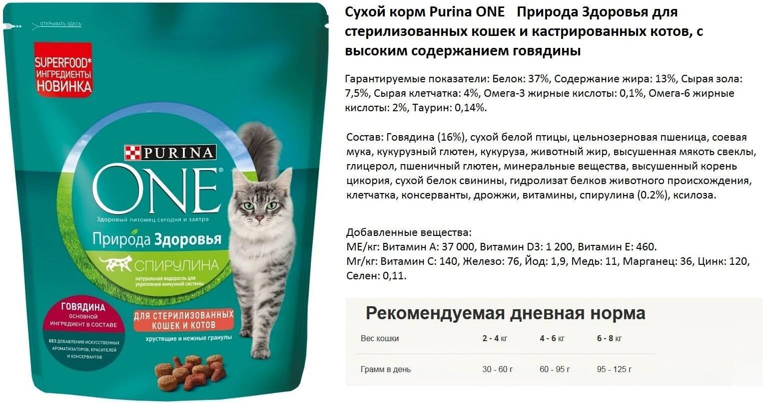 Пурина - корм для кошек, разновидности, состав, рекомендации