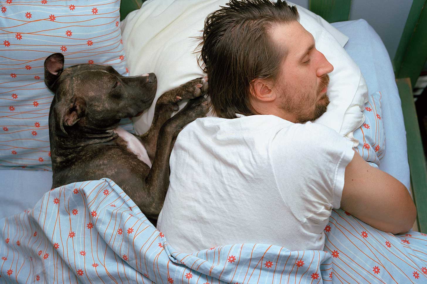 Собака в кровати с хозяином