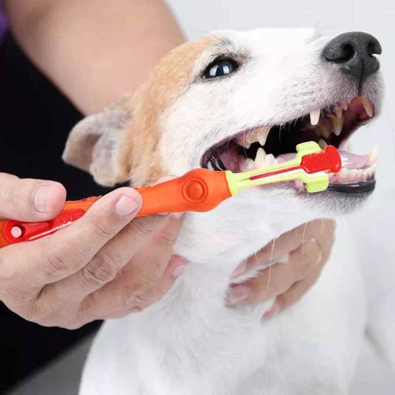 Как чистить зубы собаке: чем, как часто и нужно ли это в домашних условиях? средства для чистки: косточки, спрей, игрушки, салфетки, таблетки, спрей
