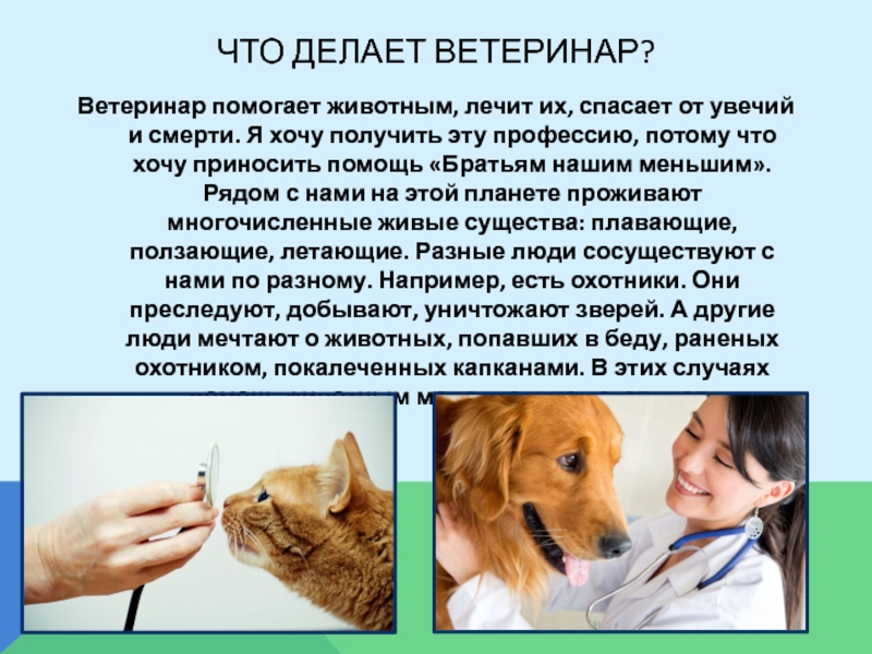 Презентация по теме профессия ветеринар