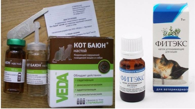 Лечение панических атак: методы и способы