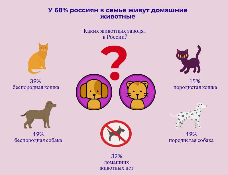 10 причин преимуществ собаки над кошкой