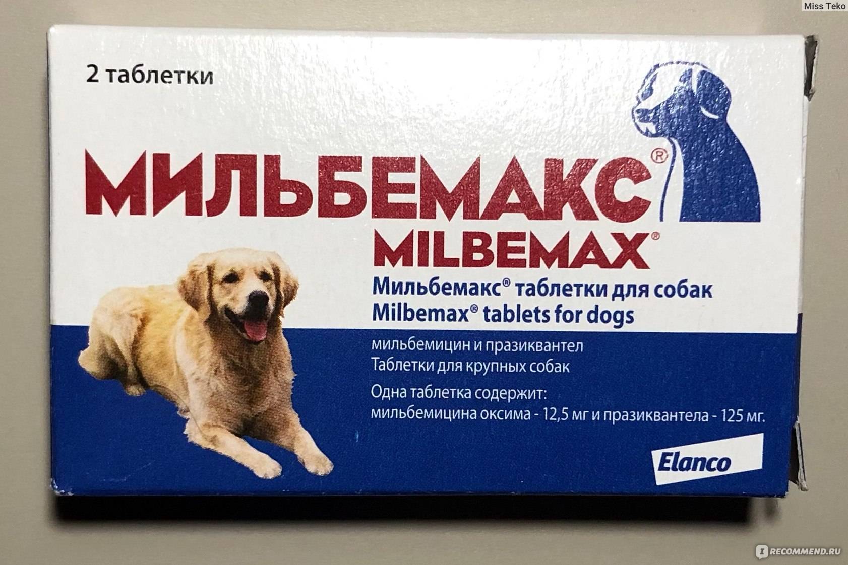 Инструкция по применению таблеток от глистов «мильбемакс» для лечения кошек и котят: состав и дозировка, схема приема