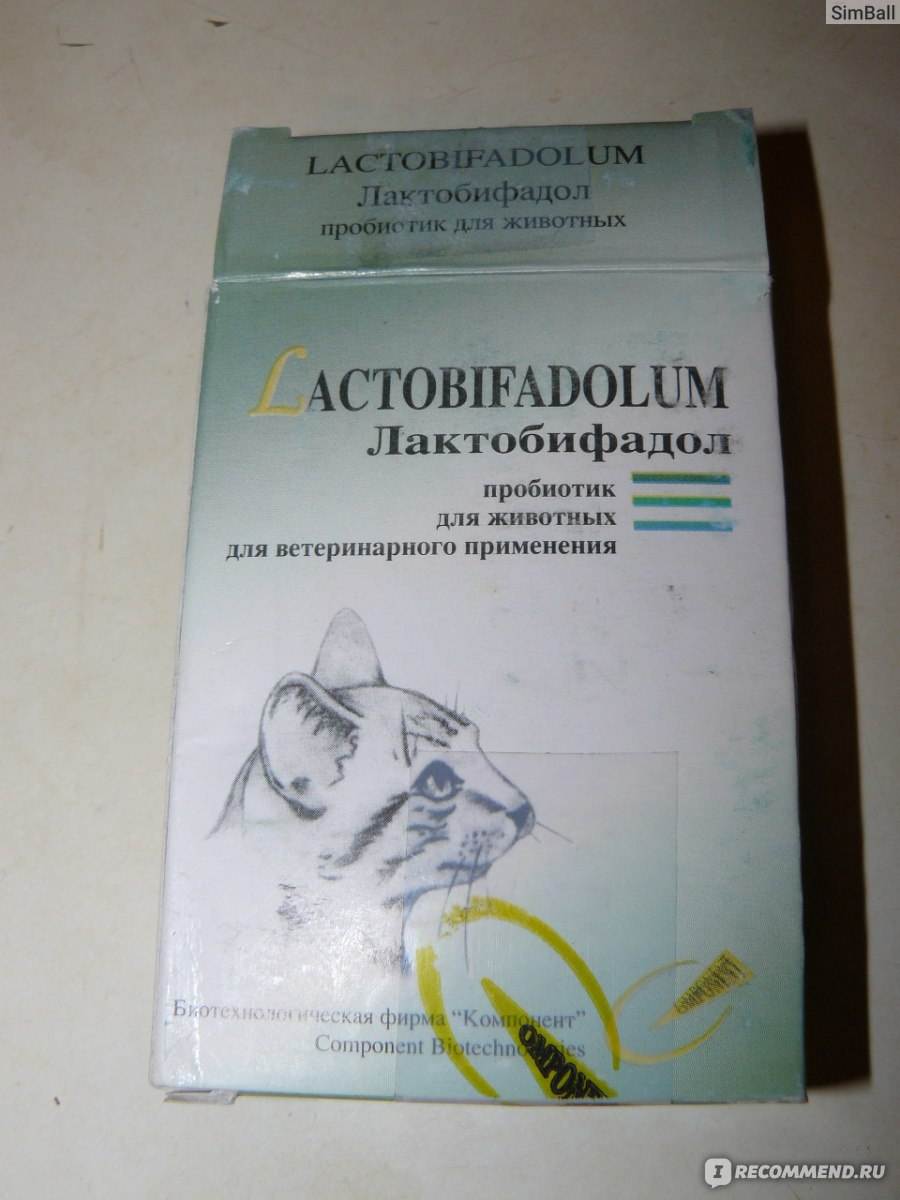 Лактобифадол пробиотик для кошек. лактобифадол для кошек и собак.