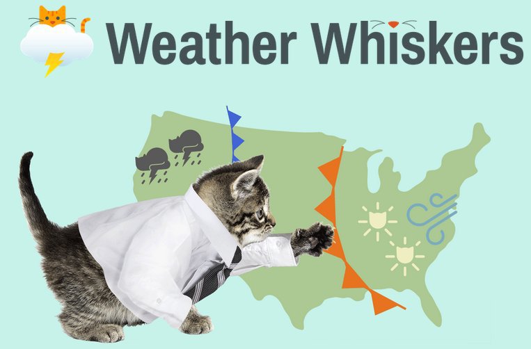 Какие животные — предсказатели погоды?