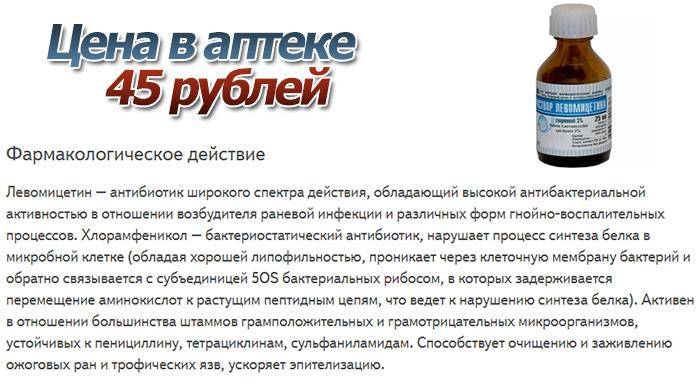 Проблемы среднего отита - центр ветеринарной неврологии и нейрохирургии