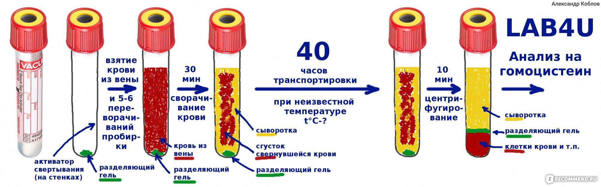 Эозинофилы в крови – норма и причины отклонения от нормы * клиника диана в санкт-петербурге