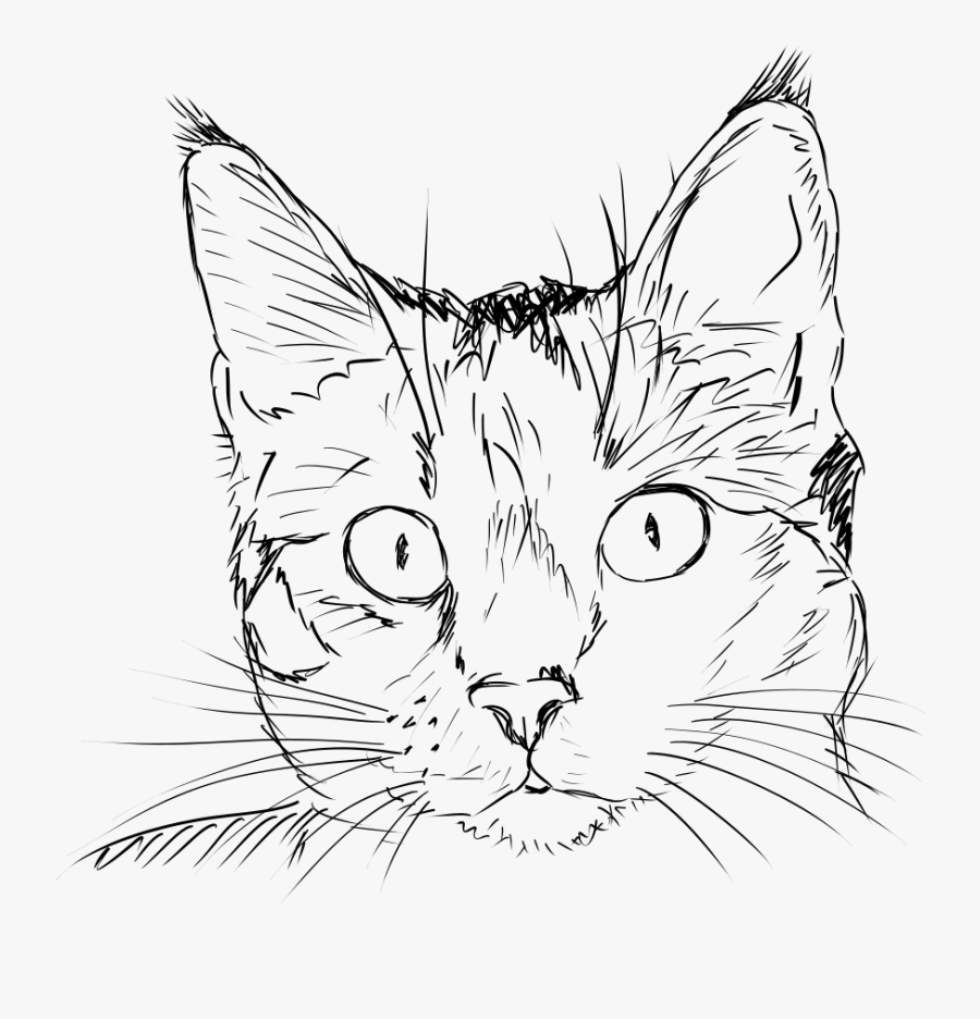 Как нарисовать кошку. пошаговый урок для начинающих
