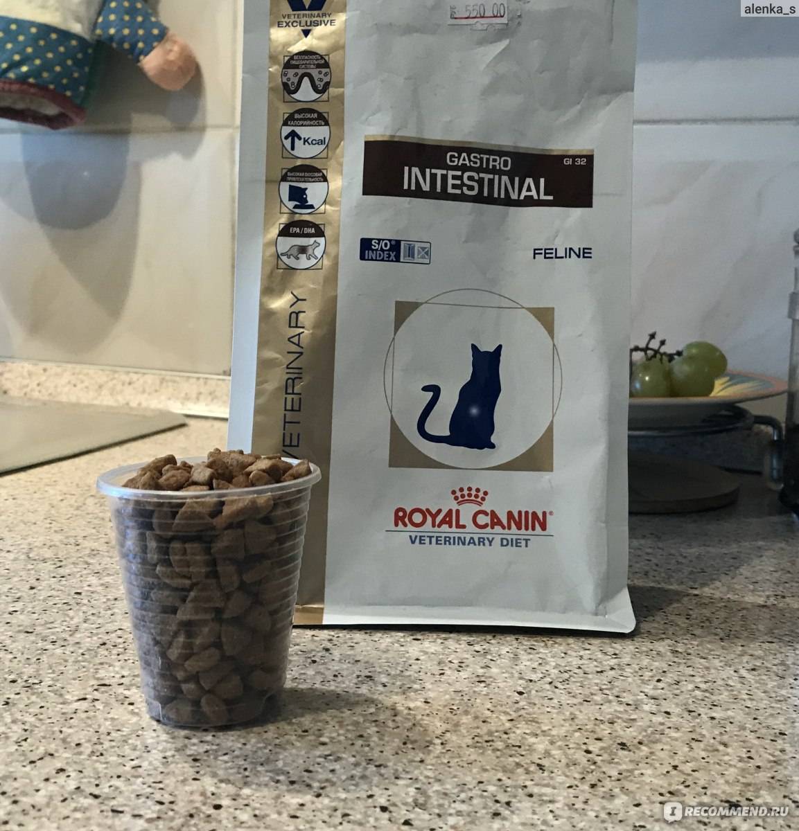 Из чего состоит корм royal canin gastro intestinal для котов: подробный обзор
