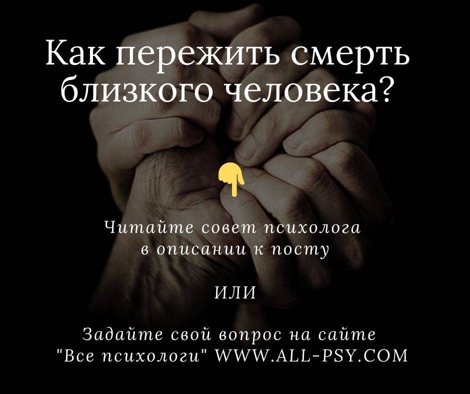 Как пережить смерть любимой кошки или кота и справиться с чувством вины: советы психолога и священника