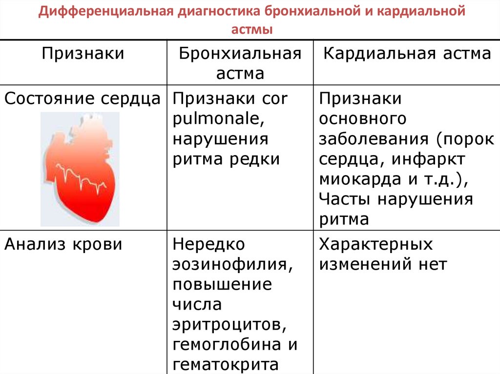 Астма у кошек симптомы и лечение. вакцинация кошки с астмой.