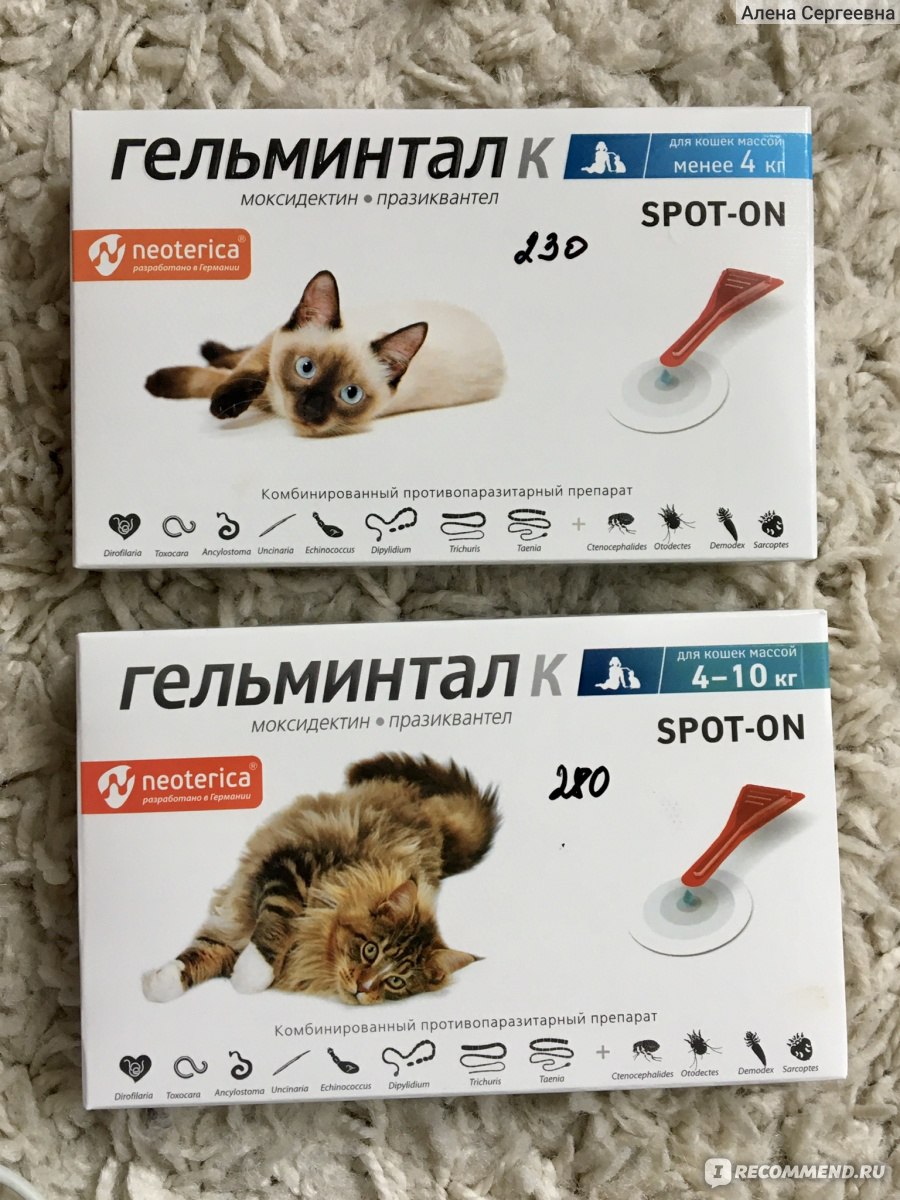 Глистогонное для кошек - обзор антигельминтных препаратов