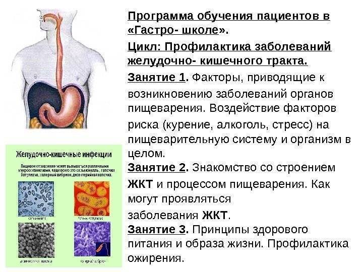 Профилактика заболеваний жкт презентация