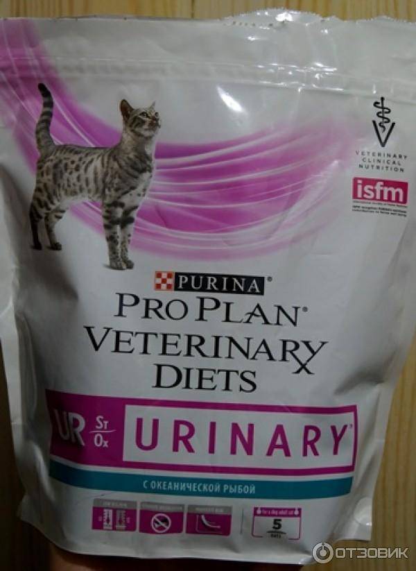 Чем кормить кота при мочекаменной болезни: диета при мбк с учетом вида камней, разрешенная еда