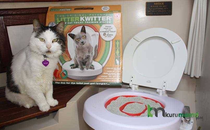 Автоматический туалет для кошек и котов cat klozet