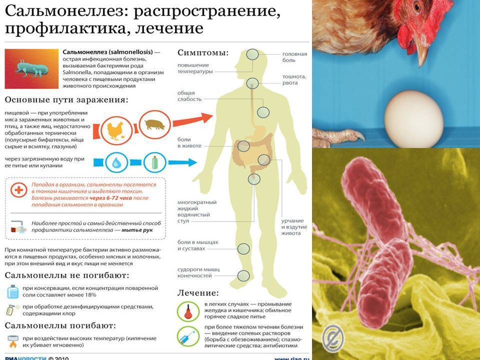 План лечения при сальмонеллезе