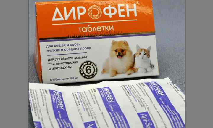 Дирофен для кошек: инструкция по применению, особенности действия и отзывы