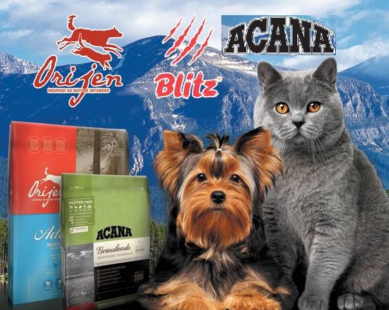 Рейтинг и состав корма acana для собак и щенков: отзывы ветеринаров, официальный сайт acana