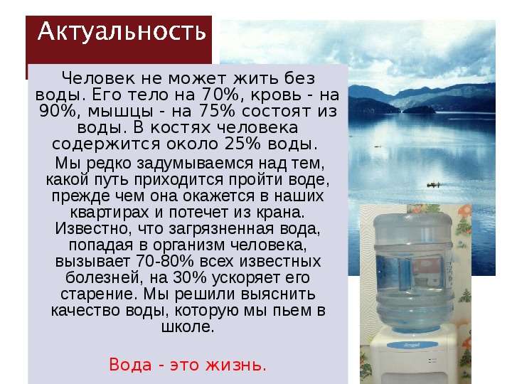 Шиншилла умирает: причины и признаки