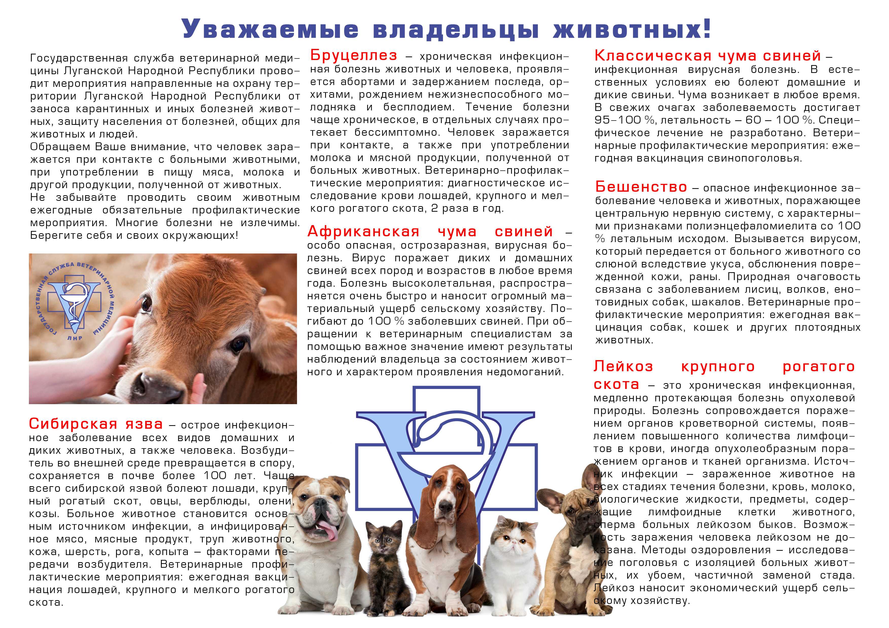 Выявление туберкулеза у коров, свиней, птиц и кошек, лечение, профилактика