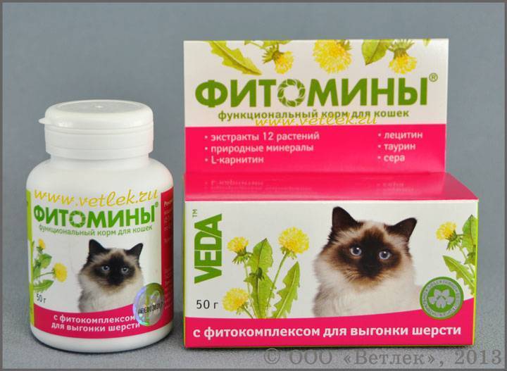 Как вывести шерсть из желудка кошки народными средствами. паста для выведения шерсти из желудка кошки в домашних условиях: инструкция. о средствах для очищения желудка