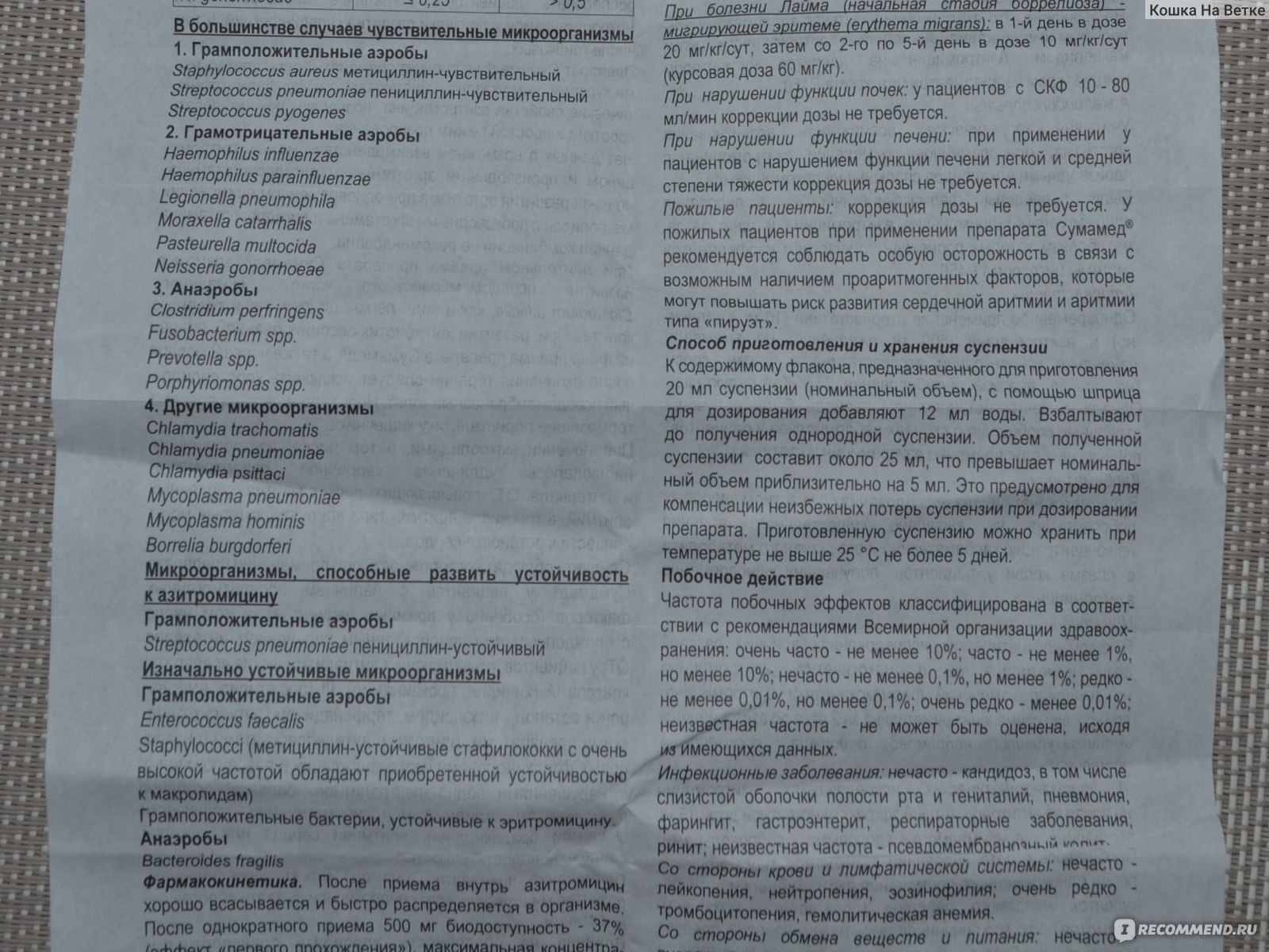 Сумамед для кошек дозировка лечение