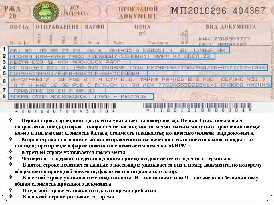 Новые правила перевозки мелких и крупных собак в поездах ржд по россии: дальнего следования, высокоскоростных поездах
