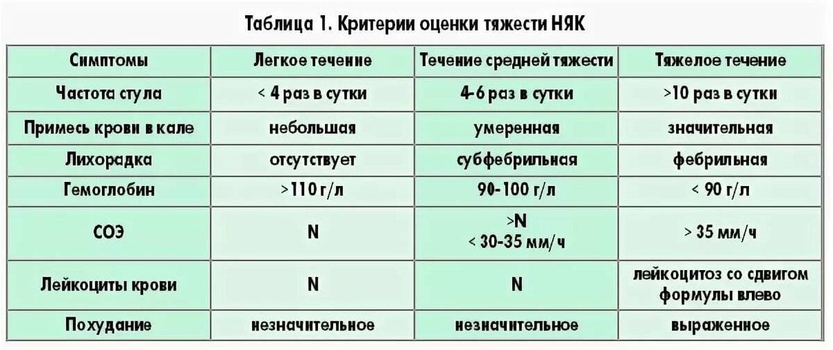 Лимфома у кошек и котов: лечение, симптомы, прогноз
