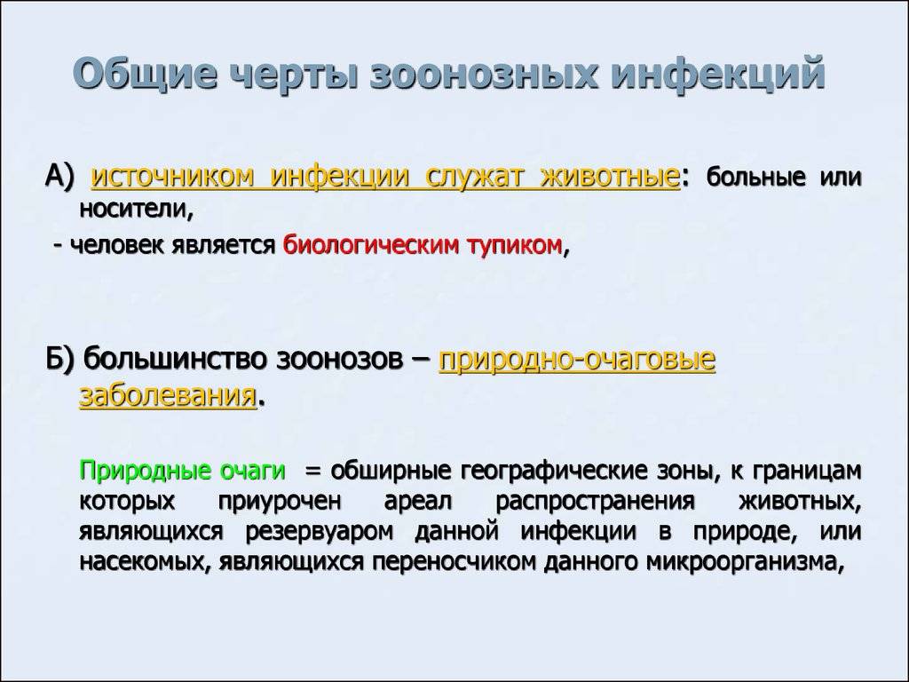 Зооантропонозные заболевания: краткий экскурс в бактериологию