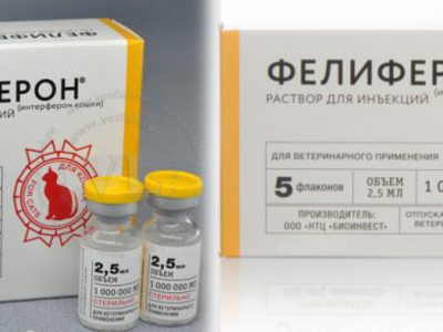 Фелиферон для кошек побочные действия