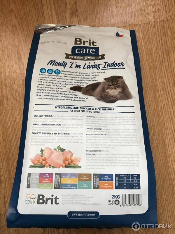 Подробный обзор сухих и влажных кормов brit для котят и взрослых котов