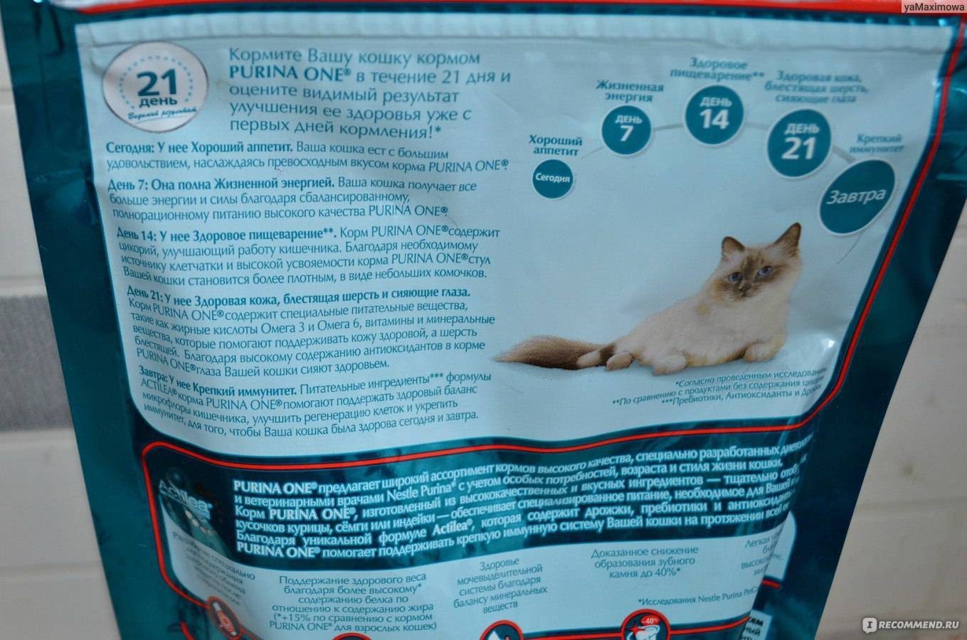 Можно ли коту корм для стерилизованных кошек. Послеоперационные корма для кошек. Корм для кошек после операции. Пурина уан для стерилизованных кошек состав. Purina для стерилизованных кошек.