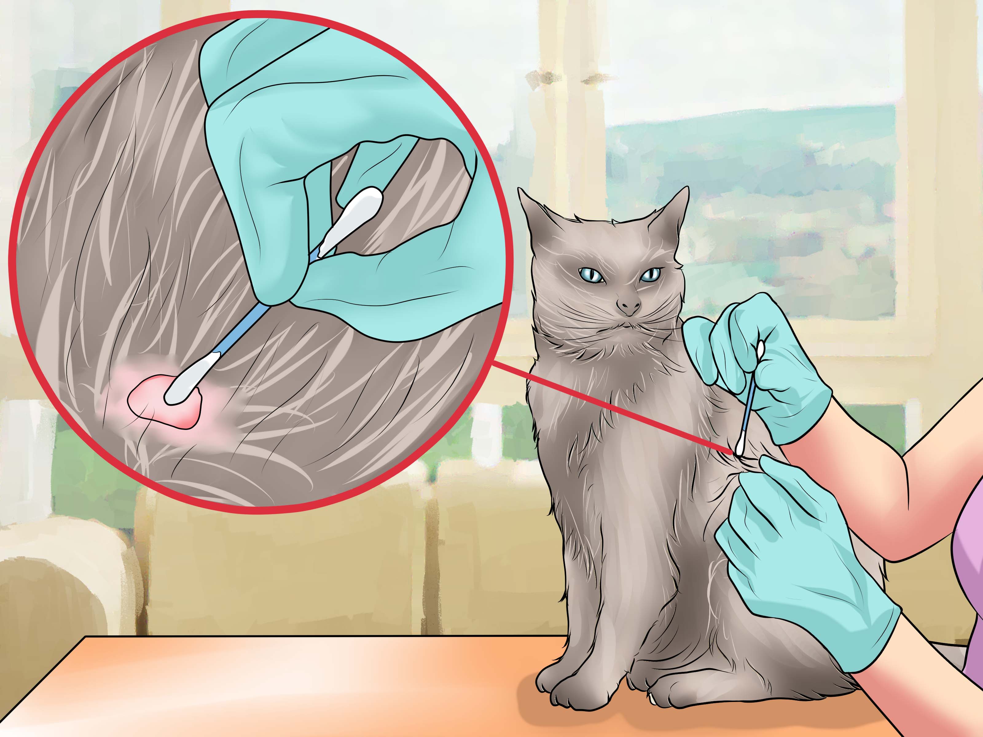 Как вытащить клеща у кота в домашних условиях