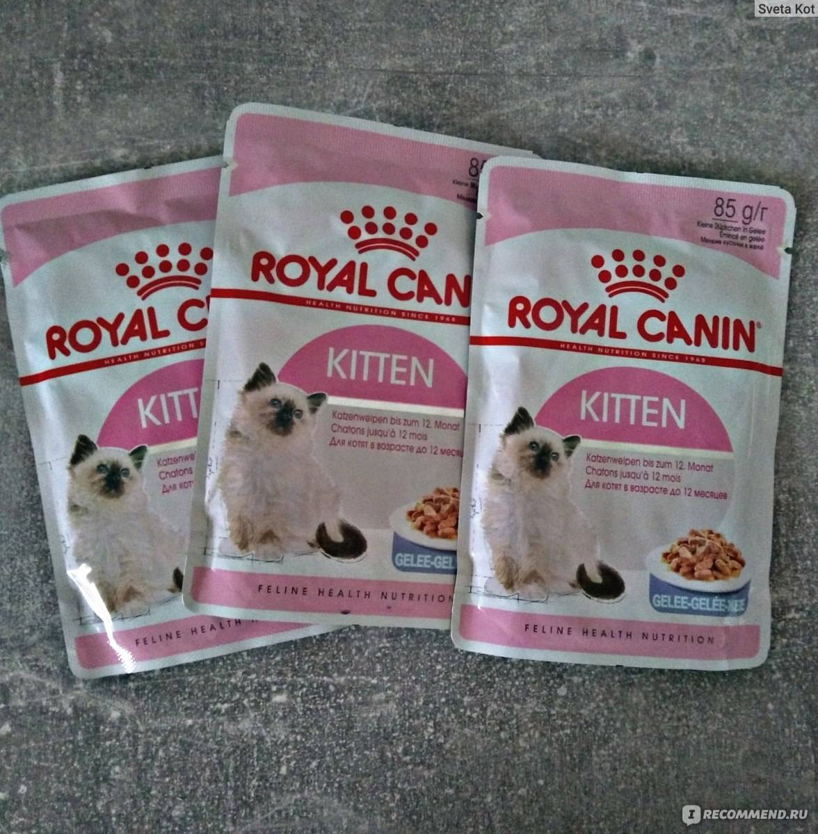 Корм royal canin (роял канин) для стерилизованных кошек и кастрированных котов: виды, отзывы ветеринаров