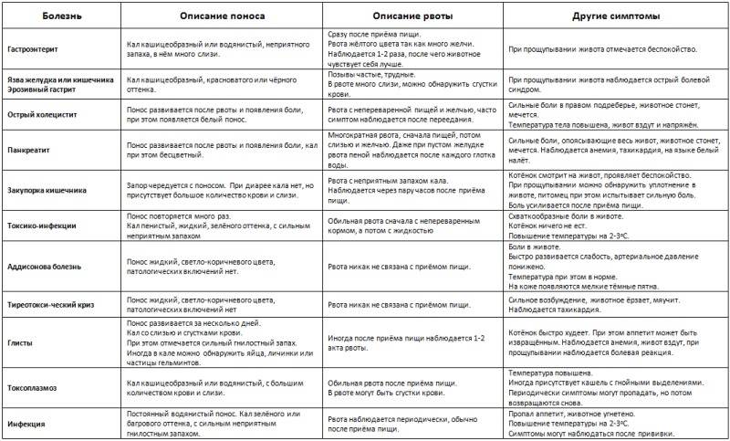 Пищевое отравление: как оказать себе первую помощь