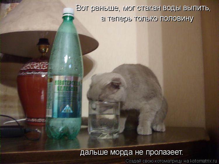 Не пьет воду в год. Кот с бутылкой воды. Налей коту воды. Кот пьет из бутылки. Минералка прикол.